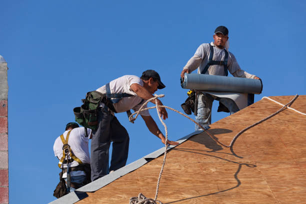Best Roof Gutter Cleaning  in Barrington, NJ